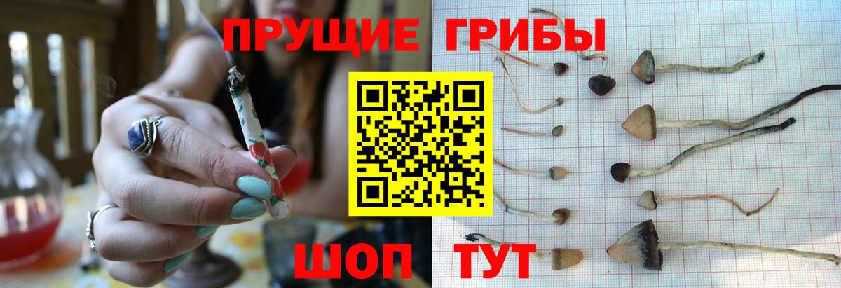 Псилоцибиновые грибы мухоморы  Вход с VPN  Семилуки 
