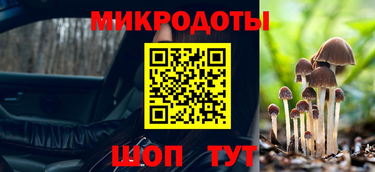 Галлюциногенные грибы Psilocybe Семилуки